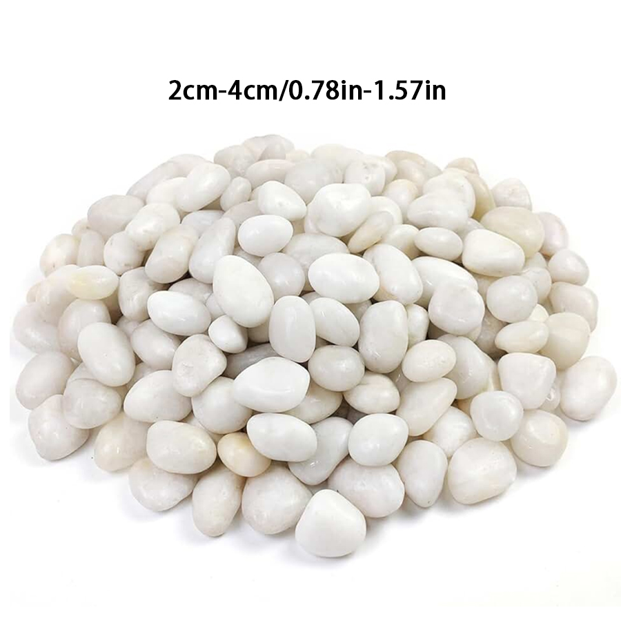 300/600g Polished White Pebble - Bonsai Rock Garden 评论和价格