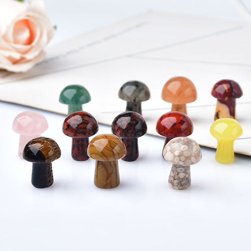 10Pcs Natural Crystal Mini Mus - Bonsai Rock Garden 评论和价格